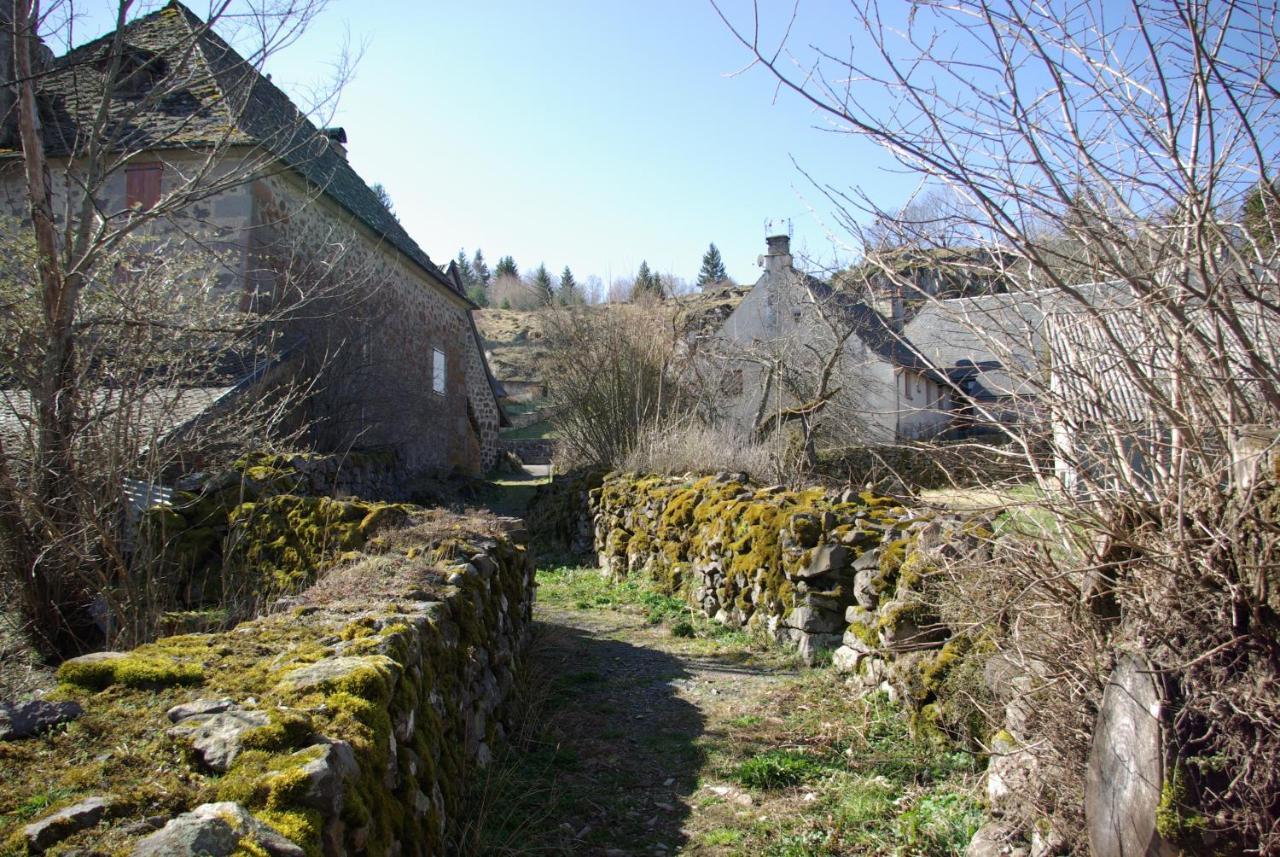 La Belle Arverne Albepierre-Bredons Exterior foto